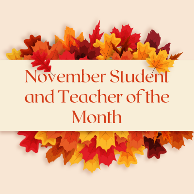  November Stude